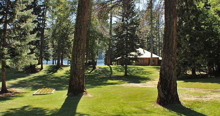 Deer on the property