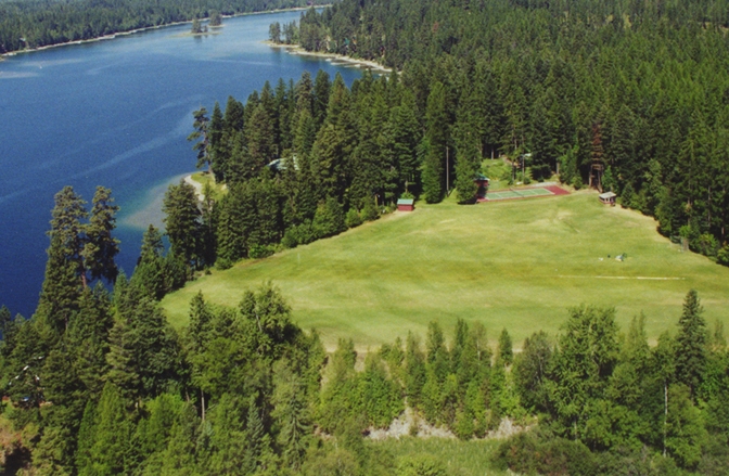 Deer on the property